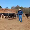 Rogerio Lemes Ribeir - @rogeriolemesribeiro - TikTok