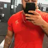 rogerio ribeiro - @rogerioribeiro159 - TikTok