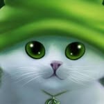 Rohail Khalid - @rohail_khalid - Instagram
