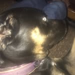 Rohan_Barrett22 - @rohan_barrett546 - Instagram