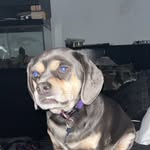 Rohan Barton - @rohan_mighty - Instagram
