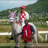 Rohan Campbell - @rohan.campbell8 - TikTok