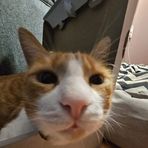 Rohan Heath - Facebook