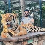 Rohan jha - @rohhan_11 - Instagram