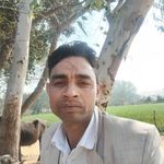 Rohan Lal - @rohanlal635 - Instagram