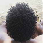 Rohan Leonard Daniel - @rldscloc - Instagram