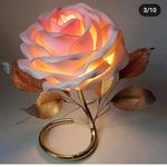 Rohan Qureshi - @rohanqureshi55 - Instagram