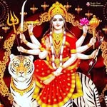 Astrologer Rohan Shastri Ji - @pandit_rohan_shastriji25 - Instagram