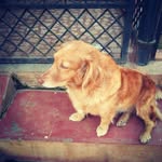 Rohini Shetty - @rohini.shetty.376 - Instagram