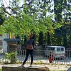 Rohita_Acharya - @rohita_acharya - TikTok