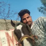 Rohit Ghai - @rohitghai922 - Instagram