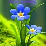 Rohit Ghai - Facebook