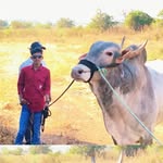 ROHIT JADHAV - @rohitya__96k__ - Instagram