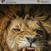 Rohit Sabharwal - @rohitsabharwal571 - TikTok
