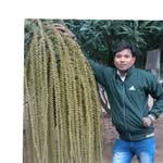 Rohit Shahani - @shahani6631 - Instagram