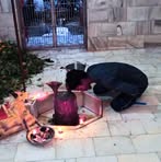Rohit Shahani - Facebook