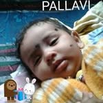 Rohit Shetti - @rohit.shetti.9440 - Instagram