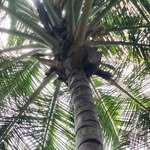 Rohit Vasan - @rohit.vasan.921 - Instagram