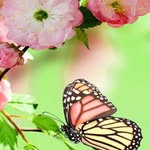 Rohit Vasan - @rohit.vasan.7 - Instagram