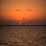 Rokaya Saad - @rokaya.saad.395 - Instagram