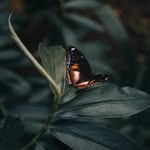 Rokeya ahmed - @roke_ya_ahmed - Instagram