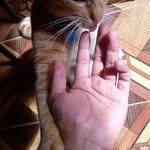 Rolando Alvarez - @rolando.alvarez.9277 - Instagram