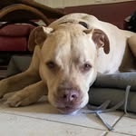 Roland Blume - @r_c_blume - Instagram