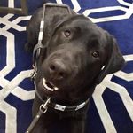 Roland Brault Jr. - @braultroland - Instagram