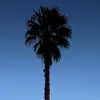 Roland Campbell - @roland.campbell2 - TikTok
