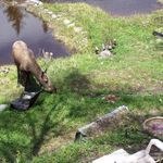 Roland Chamberlain - @roland_chamberlain - Instagram