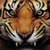 Roland Charles - @charlesroland2312 - TikTok