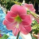Roland Davidson - @roland_davidson2 - Instagram