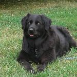 Roland Dube Sr. - @sr.rolanddube - Instagram