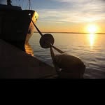 @rolandferguson - Instagram
