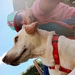 Roland Gonzalez - @rolandgonzalez8505 - Instagram