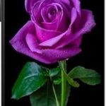 Graham Roland - @graham.roland.754 - Instagram