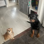 @roland_herbert1234 - Instagram