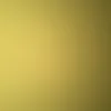 Herrmann Roland - @herrmann.roland - TikTok