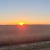 rolandhockauf - @rolandhockauf - TikTok
