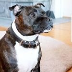 Roland Hodges - @rolandnorman6 - Instagram