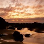 Roland Holmes - @rolsworx - Instagram