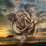 Roland Keller - @roland.keller.904 - Instagram