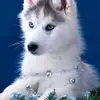 Roland Keller - @roland.keller1 - TikTok