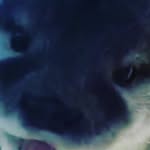 Roland Lowery - @lowery.roland - Instagram