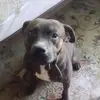 Roland Slowe - @roland.slowe - TikTok