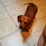 Roland Melanson - @toubib1 - Instagram