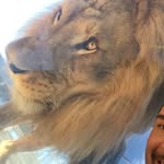Roland Munoz - @rmunoz247 - Instagram