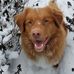 Roland Pentz - Facebook