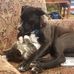 Roland Perkins - Facebook