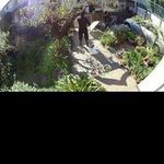 @roland_perkins - Instagram